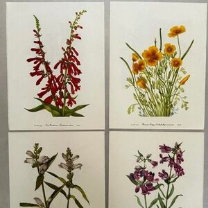 Ephemera Pack of Vintage Pages of Beautiful Botanical Prints of Flowers & Plants